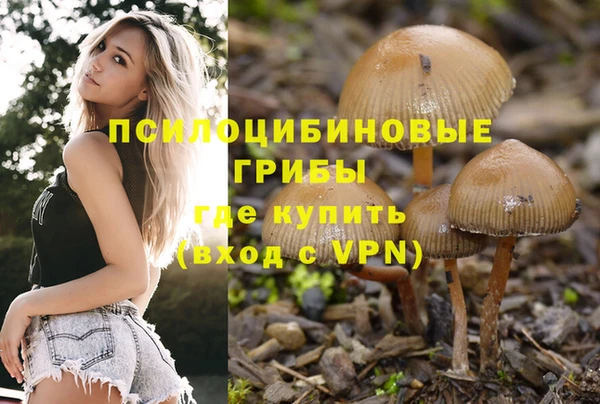 мет Дубовка