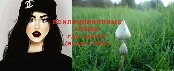 гидра Медногорск