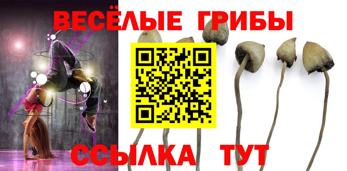 Псилоцибиновые грибы мухоморы  Вход с VPN  Маркс 