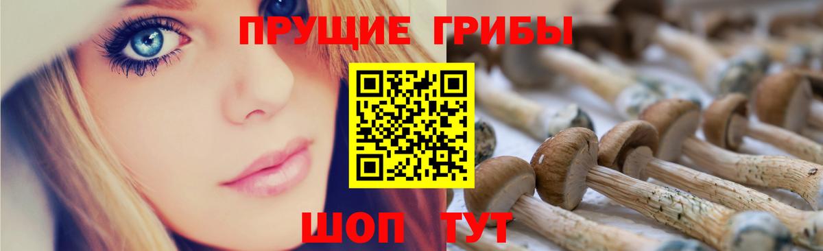 Псилоцибиновые грибы Psilocybe  Маркс 